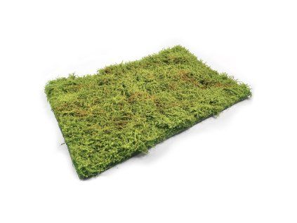 128845 1 wilderness fields with bushes spring do dioramy