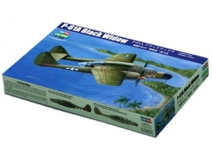 149761 1 p 61a black widow 1 48