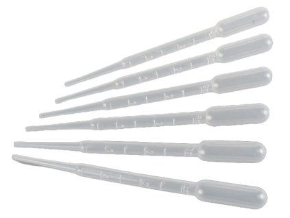 Adobe Express file (1)