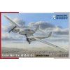 Focke Wulf FW 189B Uhu Trainer 1/72