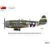 p 47d 25re thunderbolt 1 48 basic kit 02