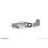 Eduard 82204 fm 1 wildcat 15