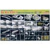 238675 1 sd kfz 234 1 premium edition 1 35