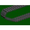239680 38 german iguana psb 2 28 m 1 35
