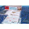 Mirage IIIC 'Southern Hemisphere Fighter' 1/72