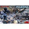 121765 1 pigeons 1 35