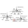 sukhoi su 17m3 early vers advanced fighter modelsvit 02