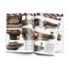 125497 3 rust chipping publikacia vallejo angl jazyk