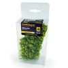 128869 1 shrubs goldfinger