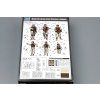 145690 3 modern u s army armor crewman infantry 1 35