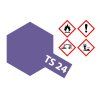 ts 24 purple gloss 100ml 300085024 en 00