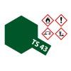 ts 43 racing green gloss 100ml 300085043 en 00
