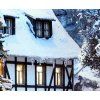 172645 2 ladove cencule ho