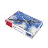 blohm voss bv 155v 1 1 72 SPECIALHOBBY SH72340 010