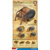 18138 davinci Drum 730