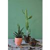 Šálka pohár M zelený