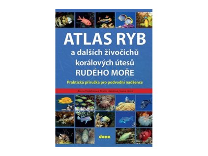 78074 atlas ryb a dalsich zivocichu koralovych utesu rudeho more prakticka prirucka pro vodni nadsence