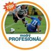 profesional modry kopie