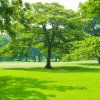 TRAVNÍ SMĚS PARK 3 kg