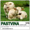 Pastvina 3 kg