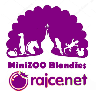 logo_rajce