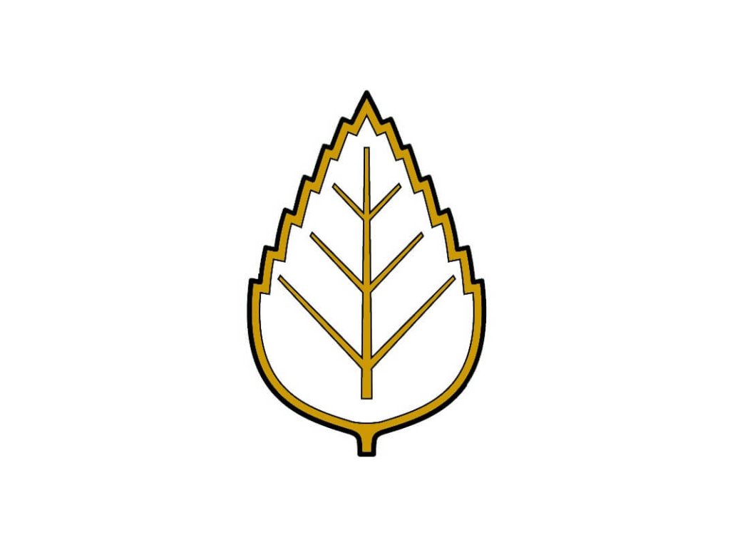 Březový lístek – BÍLÝ