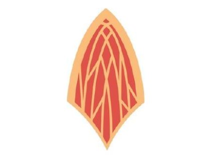 Nášivka – cesta ohně (nová)