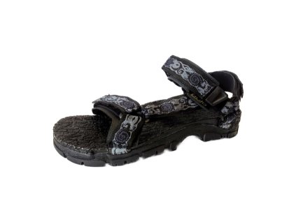 bufo xapatan turtle w