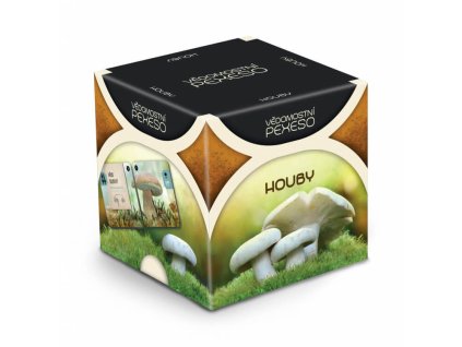 Vědomostní pexeso - Houby