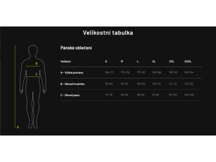 Pánské triko Sensor Merino Active PT Van Life šedé