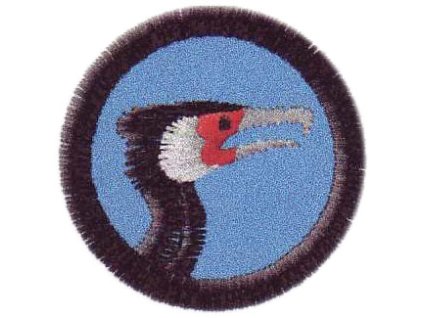 kormoran nasivka