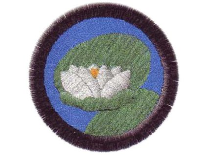 leknin nasivka