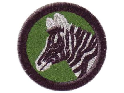 zebra nasivka