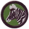 zebra nasivka
