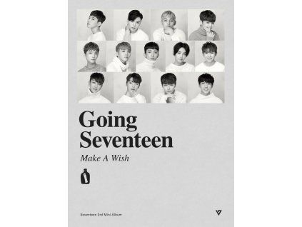 SeventeenGoingSeventeenThumb1