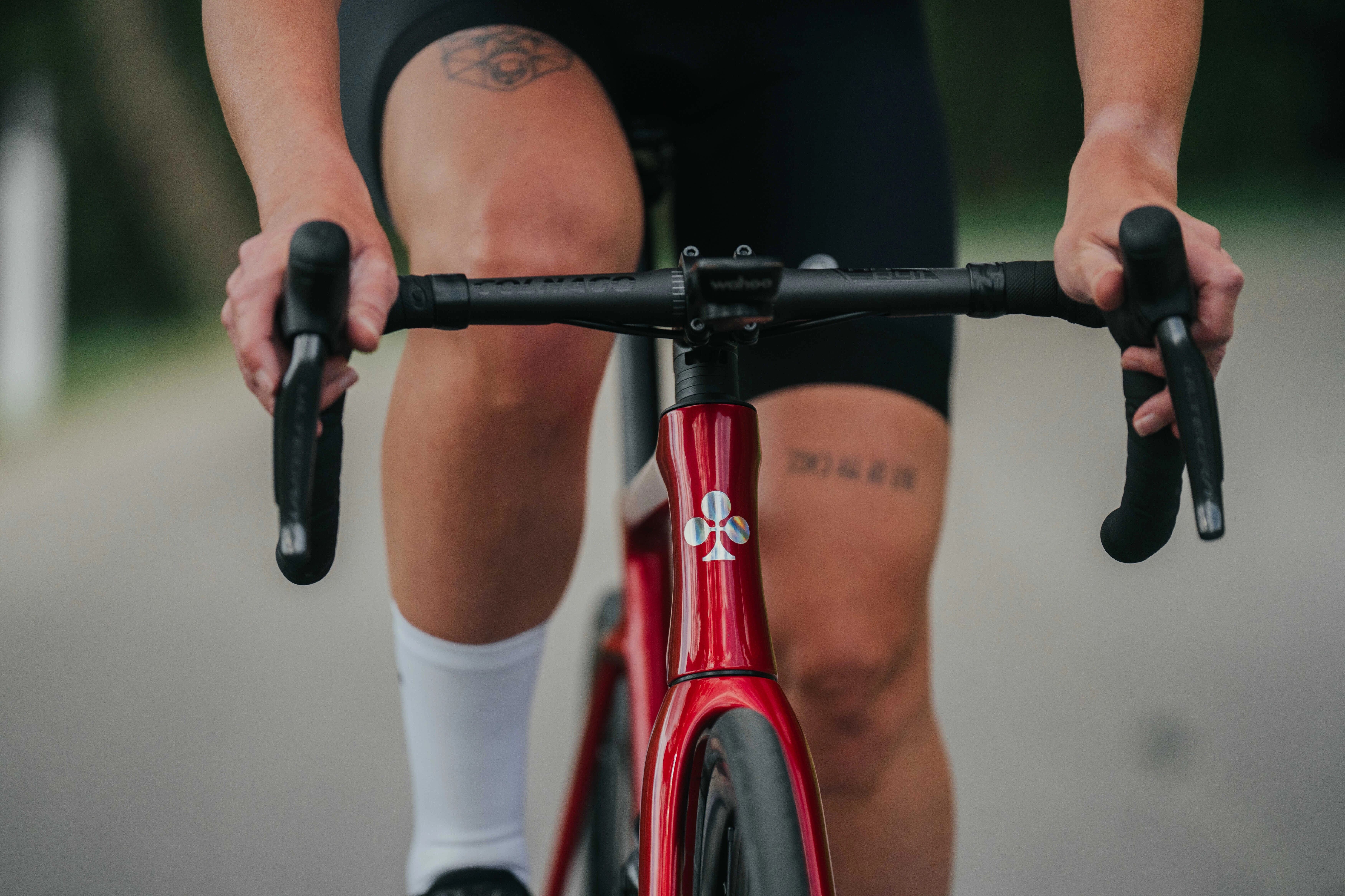 selezione-pic-media-action-v4-12