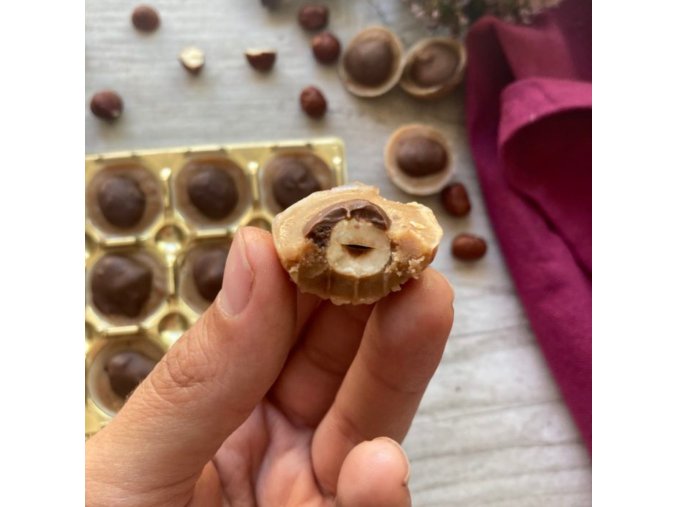 Návrh bez názvu(16)