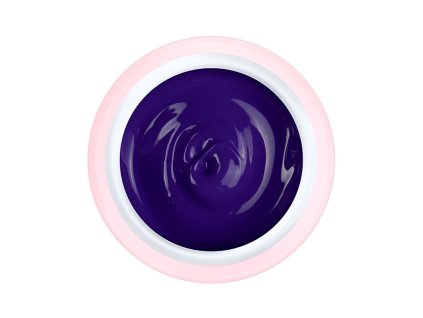 1698 art gel violet
