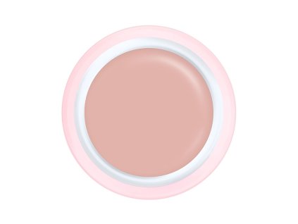 2490 uv led gel ch160 naomi