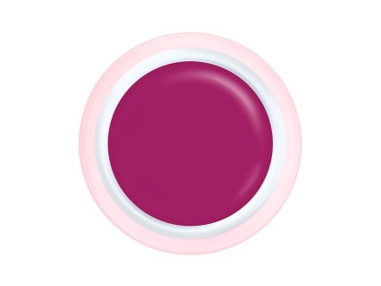 2592 prelozeno uv led gel charlotte 24