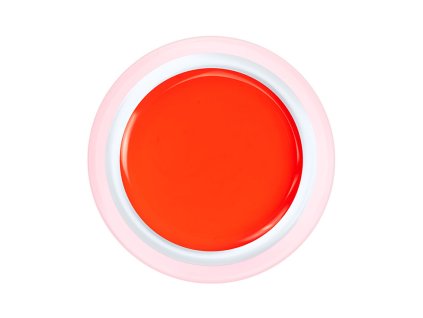 4239 uv led gel neon chilly 179