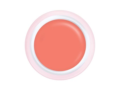 Gel CH560 Hasta la Vista