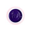 1698 art gel violet
