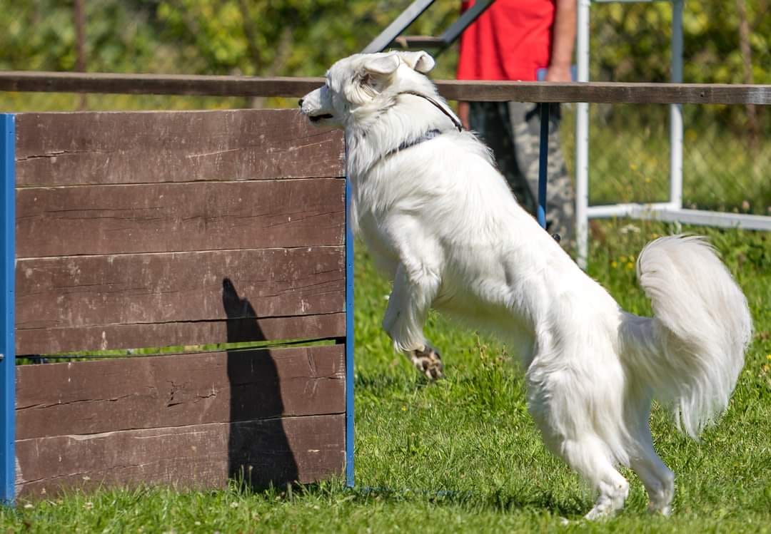 Beny - jump over an obstacle