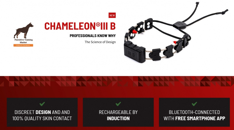 Chamäleon III B