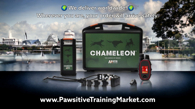 Pawsitive Training Market - delivery