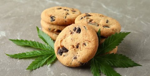 CBD_Cookies-kratom-world-ucinky_480x480.jpg-ezgif.com-webp-to-jpg-converter