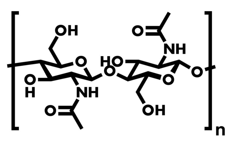 Chemická struktura molekuly chitinu