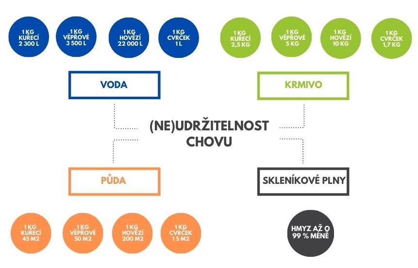 Spotřeba půdy, vody, krmiva a množství skleníkových plynů u různých druhů masa v porovnání s hmyzem