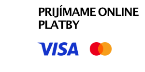 online platba visa mastercard